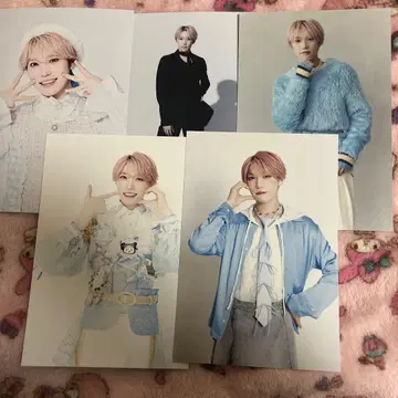 팬더 드래곤 타이거 엽서 파라곤