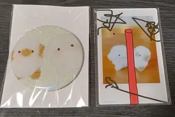 조세마루 팝업 체키포토카드 베이비스