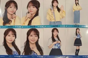 노기자카46 40thSG 언더 라이브 8종 컴프 야쿠보 미오