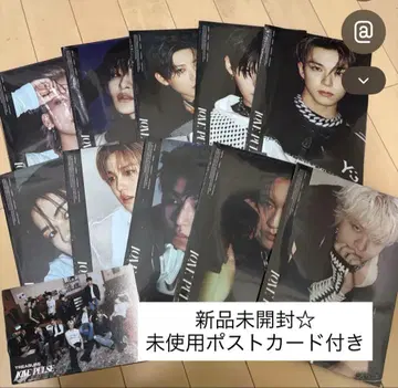 TREASURE LOVEPULSE 10장 세트 미사용 엽서 포함(2장)