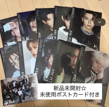 TREASURE LOVEPULSE 10장 세트 미사용 엽서 포함(2장)