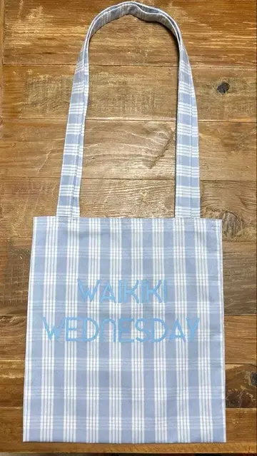 The fanon 블루 계열 체크 무늬 에코백 Tama