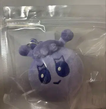 BBNEXDO 푸네크도 Face Keyring 이한 (미개봉)