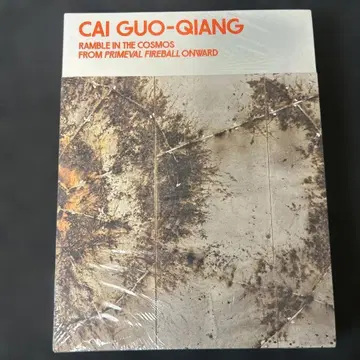 차이궈창 우주유 원시 화구에서의 산책