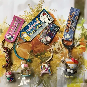 키티 지역 한정