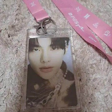 현진 트레이딩 카드 FESTA