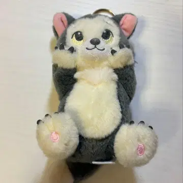 피가로 고양이의 날 2024 플러시 키체인