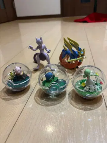 포켓몬 피규어 세트 몬코레 포켓몬 테라리움 한정 판매