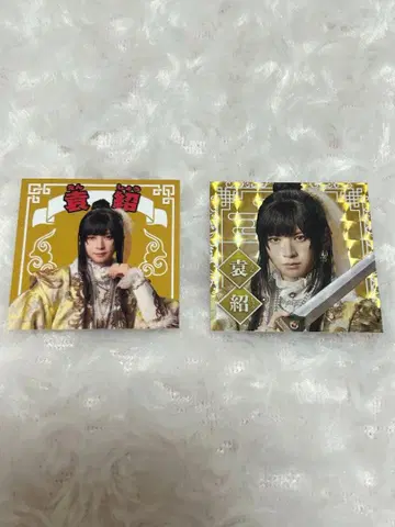 검극 삼국지 연기 조위 스티커 원소 아라마키 요시히코