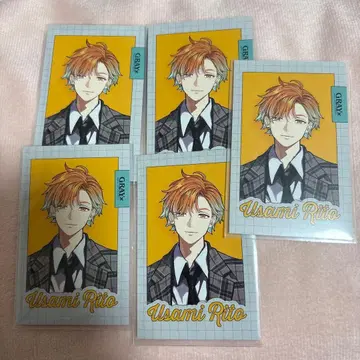 니지산지 gray x accent 폴라로이드 우사미 리토