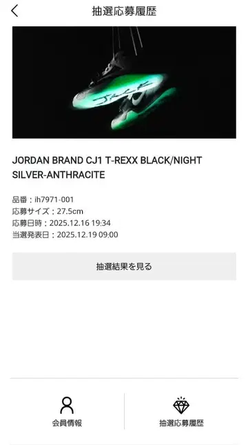 Jordan Brand CJ1 T-REXX 27.5cm