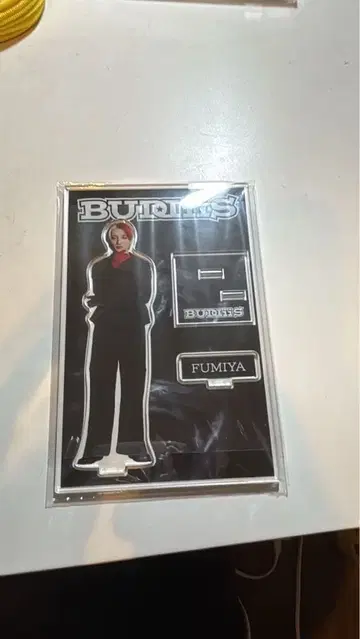 BUDDiiS 타카오 카에데야