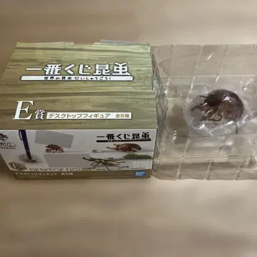 제일복권 곤충 E상 데스크탑 피규어 참나무매미 유충 매미 빈 껍데기