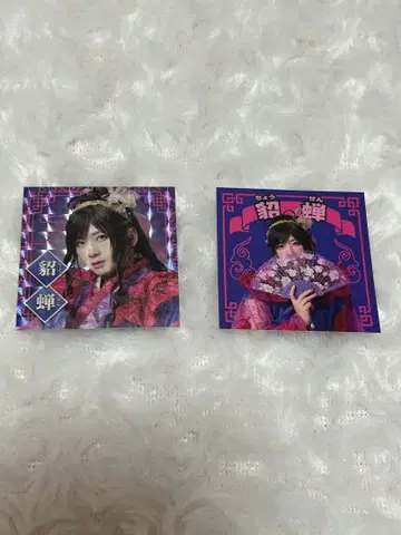 검극 삼국지 연기 조위 스티커 시크릿 초선 아라마키 요시히코