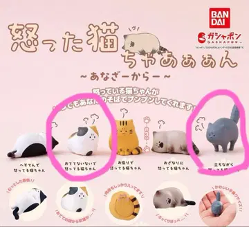 화난 고양이쨩 [ 낱개 판매 가능 ]