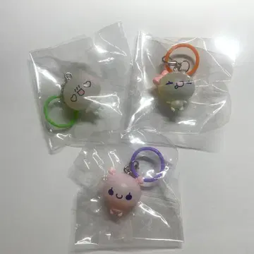 아와와짱 캡슐 토이 메지루시 참 3종 세트