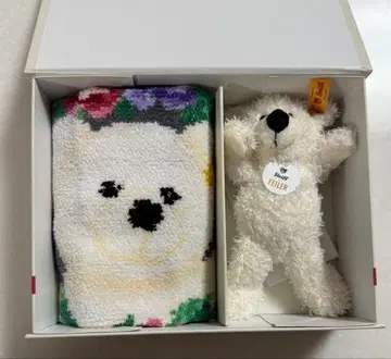 페이러 슈타이프 콜라보