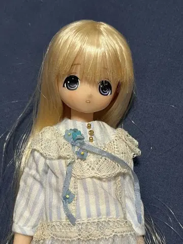 엑스 큐트 치이카 퓨어니모 아존