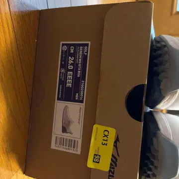 미즈노 골프화 제넴 WG GTX 보아