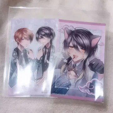 카스리히 포토 카드