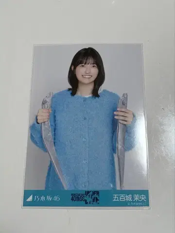 노기자카46 브로마이드 안다라 니트 롱 데님 스커트 이오키 마오 중