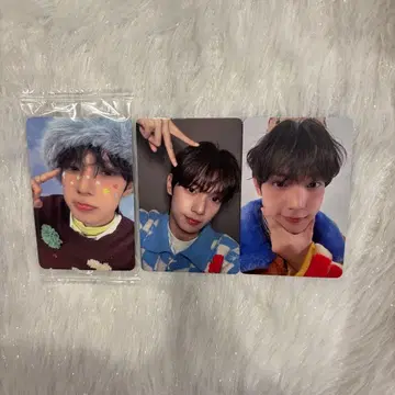 체리브 폴라로이드 트레이딩 카드 랜덤 sweetDREAM