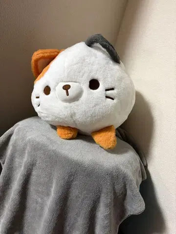 고양이 얼굴 봉제 인형 약 30cm