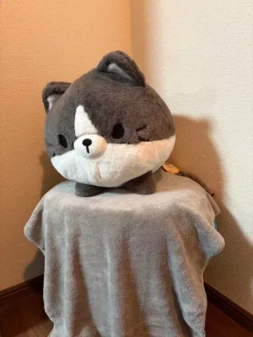 고양이 디자인 봉제 인형 약 30cm