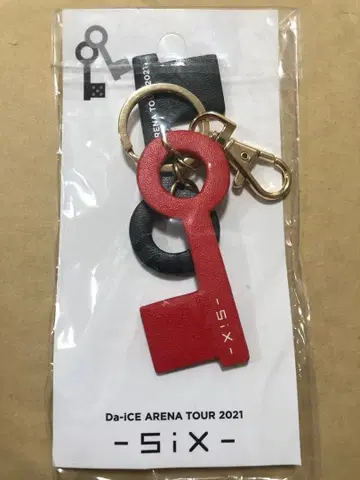 Da-ICE ARENA TOUR 2021 -Six- 키링