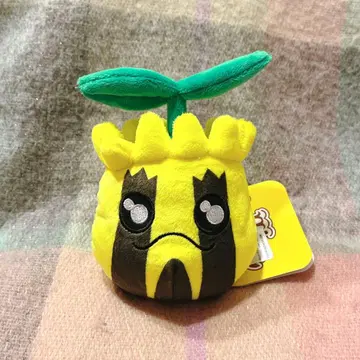 해바라기 너트 포켓몬핏 봉제 인형 pokemonfit
