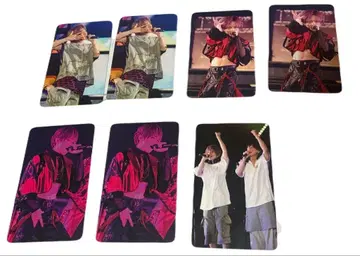 우라시마사카타센 랜덤 미니 포토 카드 WARN12G 우라타누키 시마