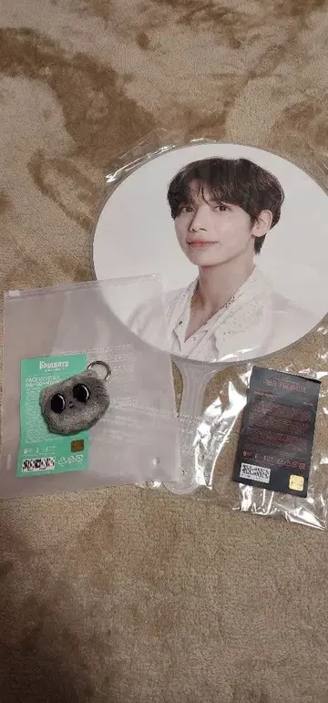 TXT 태현 다고냥 부채