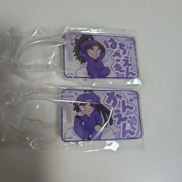 닌타마 아크릴 러기지 택