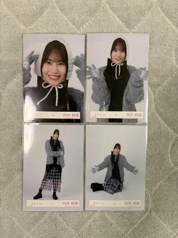 사쿠라자카46 무카이 이토하 겨울 의류 4종 컴프