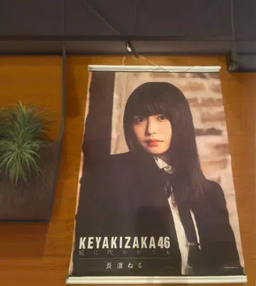 나가하마 네루 태피스트리 네루 케야키자카46 전 케야키자카46