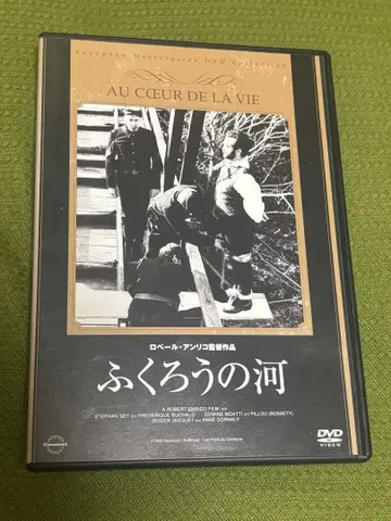 올빼미의 강 DVD 중고