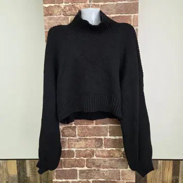 DRESSTERIER 니트 블랙 숏 기장 하이넥