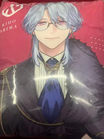 블레이크 마이 케이스 블레마이 빅 쿠션 gigo 재간수범