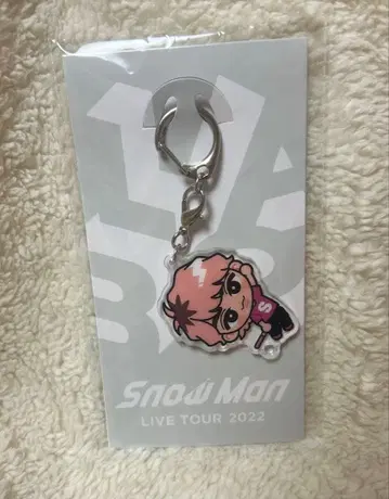 사쿠마 다이스케 아크릴 키링 LABO