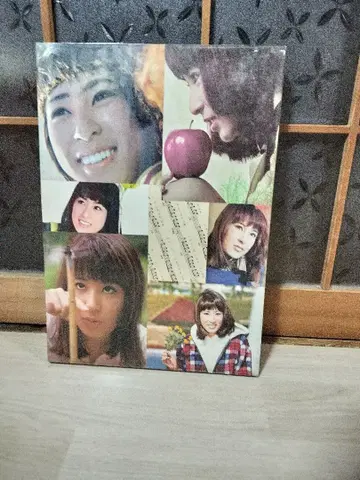 후지 케이코 패널