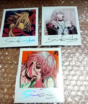 파라라이 시온 금박 사진 ANTHEM seasonal SD