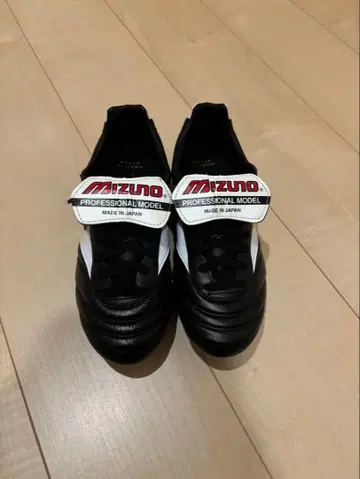 모렐리아 2 japan 24.5