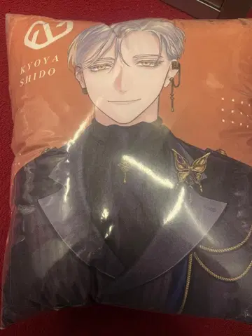 블레이크 마이 케이스 블레마이 빅 쿠션 gigo 시당공야 협의부