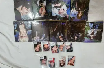 K-POP CD 세트 트레이딩 카드 덤 포함