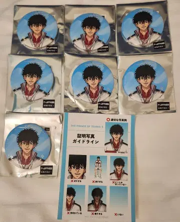 신 테니스의 왕자님 나카가이 광업