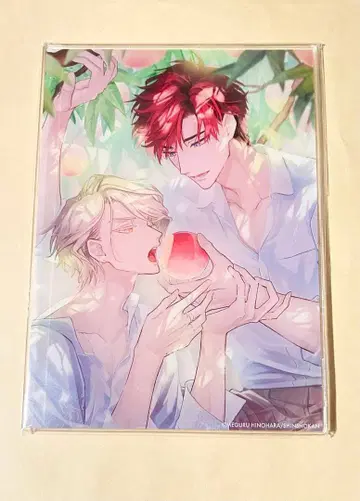 이쿠시마 세이신 산토 미나토 아크릴 플레이트 테라피 게임 애니메이트