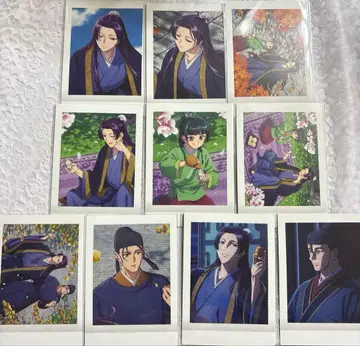 약사의 혼잣말 파샤코레 묶음 판매