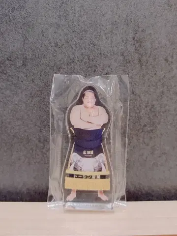 스모 가챠 이쿠타메 관 아크릴 스탠드 니코야마 방