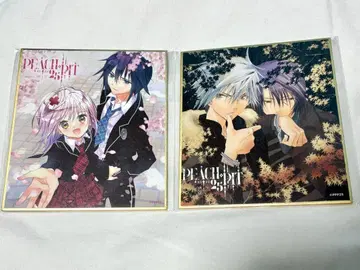 PEACH-PIT 25주년 특별전 슈고캬라 ZOMBIE-LOAN 색지