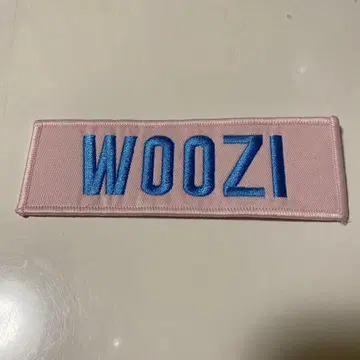 SEVENTEEN WOOZI 우지 와펜